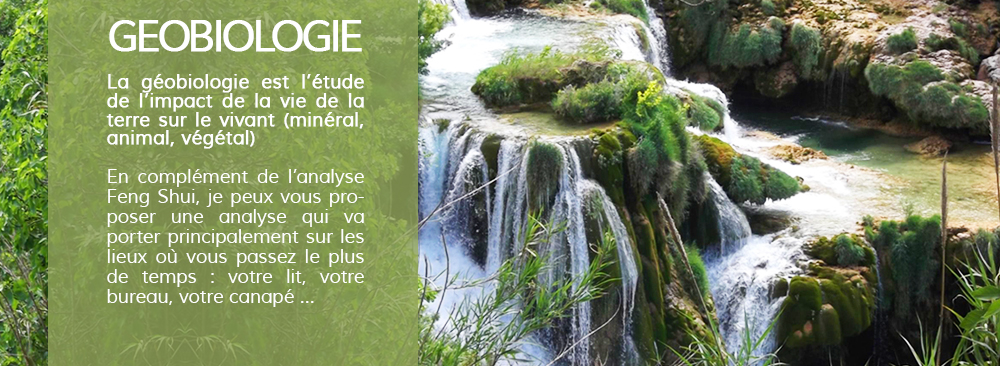 Geobiologie